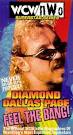 WCW/NWO Superstar Series: Diamond Dallas Page - Feel the Bang!