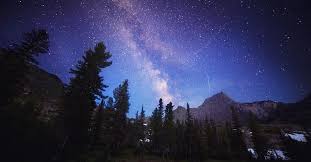 Are There More Trees on Earth Than Stars in the Milky Way ...