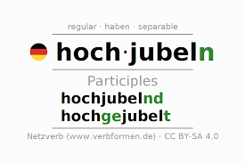 Image result for hochjubeln