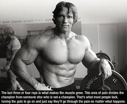 Arnold Schwarzenegger Famous Movie Quotes. QuotesGram via Relatably.com