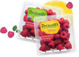 Best Ways to Store Raspberries | Driscoll's