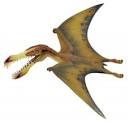 Pterodactyl, Pteranodon Other Flying Dinosaurs