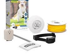 PetSafe YardMax Rechargeable In-Ground Pet Fence product photo