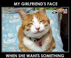 Girlfriend Face Funny Meme and This Funny Joke Picture Make You Smile via Relatably.com