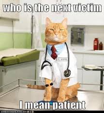 Who Is The Next Patient - Grumpy Cat Meme - See Funny Images ... via Relatably.com