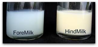 Image result for kebaikan susu ibu