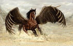 Image result for horse pics