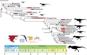 The phylogeny and evolutionary history of tyrannosauroid dinosaurs ...