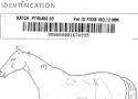 Tracing a microchip number - need help! - The Chronicle of the Horse
