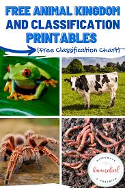 Free Animal Kingdom and Classification Printables