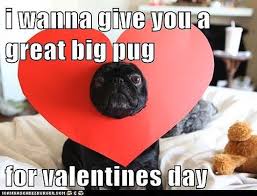 Valentine&#39;s Day Memes | POPSUGAR Tech via Relatably.com
