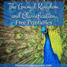 The Animal Kingdom and Classification FREE Printables ...
