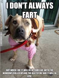 I dont always fart - dog meme | Funny Dirty Adult Jokes, Memes ... via Relatably.com