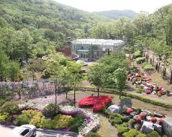 인천 석모도 수목원, AI로 생성