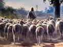 Resultado de imagem para As minhas ovelhas escutam a minha voz, eu as conheço e elas me seguem