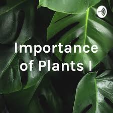 Importance of Plants I