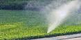 Best Sprinkler System Winterization Pros - Spokane WA Costs