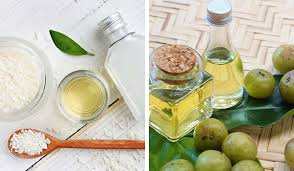 8 Effective DIY Hair Growth Oil Recipes to Get Healthy and Strong ...