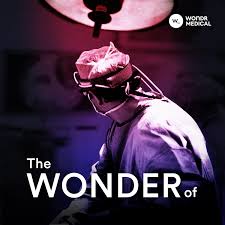 The Wonder of