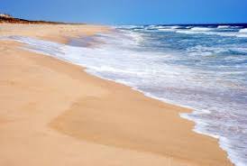 Image result for long island beach pictures