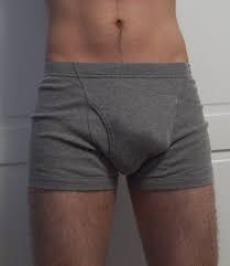 Image result for male modelling underpants