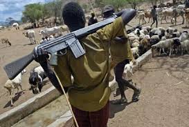 Image result for Fulani herdsmen