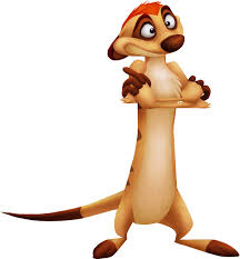 Image result for sarcastic timon