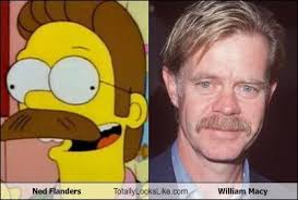 Ned Flanders Totally Looks Like William H. Macy. Favorite. Ned Flanders Totally Looks Like William H. Macy. By kajcuijpers - hFF5D6001