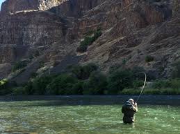 Image result for images of deschutes river at dry creek