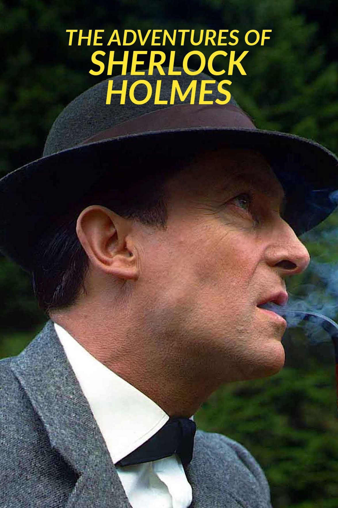 Download The Adventures of Sherlock Holmes (Season 1 – 2) Dual Audio {Hindi-English} 720p WeB-HD 