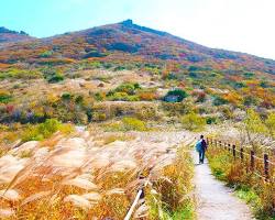 무등산 국립공원 서석대 주상절리대 풍경, AI로 생성