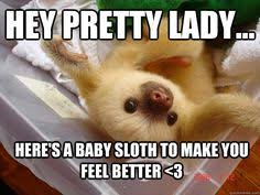sloth life on Pinterest | Sloth Memes, Sloths and Feel Better via Relatably.com