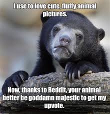 I use to love cute, fluffy animal pictures. Now, thanks to Reddit ... via Relatably.com