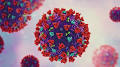 coronavirus from www.9news.com