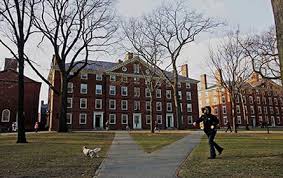 Image result for Harvard University picture