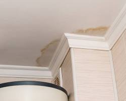 Image of Water Stains on Ceiling