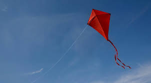 Image result for kites pictures