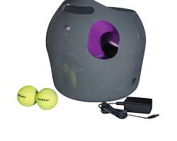 PetSafe Automatic Tennis Ball Launcher