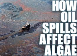Image result for us oil spills 2015