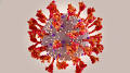 coronavirus from www.yahoo.com