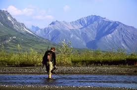 Image result for northern alaskan wilderness brooks range
