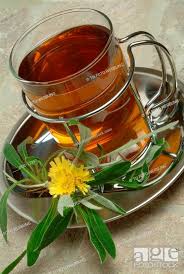 Hawkweed - medicinal plant - medicinal tea - herbtea - herb ...