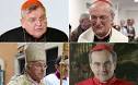 Image result for Photo of the four cardinals and the dubbia