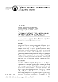 (PDF) Erigeron atticus Vill. in the Ukrainian Carpathians