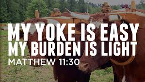 Image result for yoked to jesus