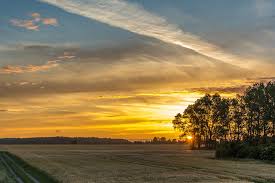Image result for pictures of clear yellow sunrises