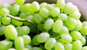 Risultati immagini per grapes