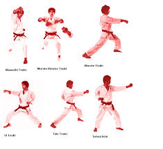 Image result for macam macam pukulan karate