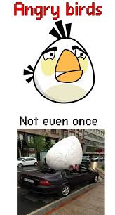 Angry Birds | Funny Pictures, Quotes, Memes, Jokes via Relatably.com