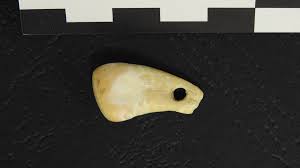 "Unlocking The Secrets Of A 25,000-Year-Old Pendant Through Ancient DNA Analysis"
